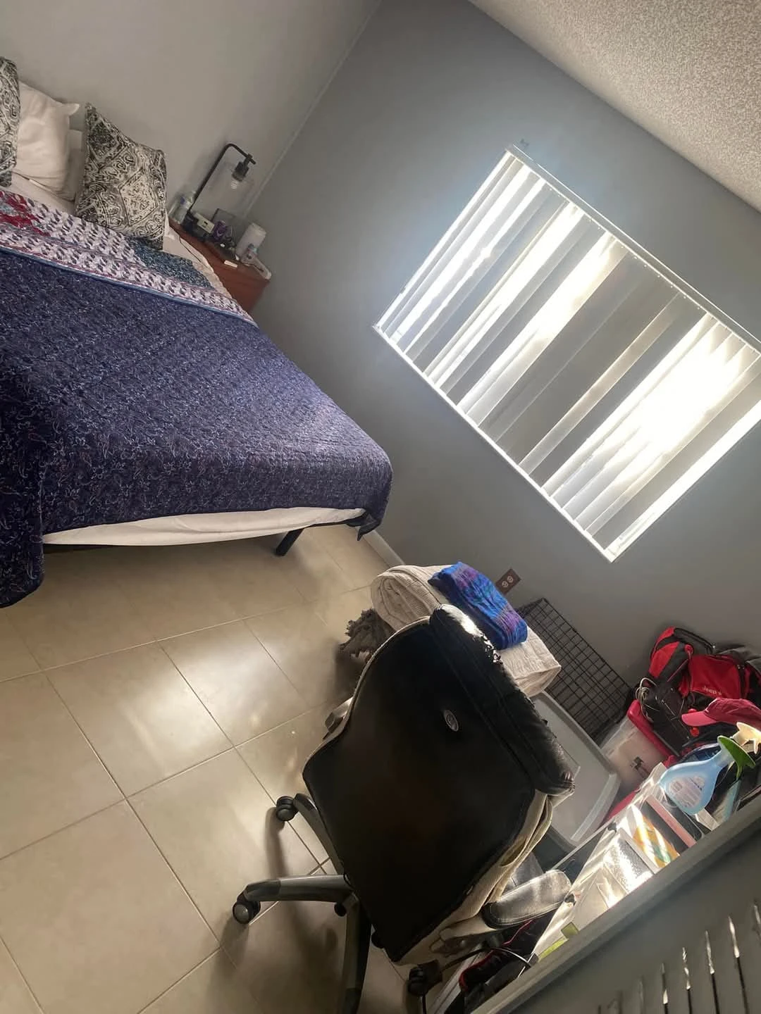 room (2) clean pro